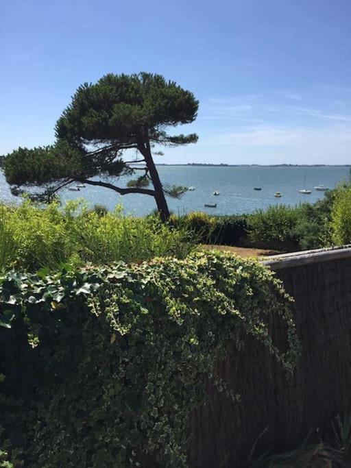 Meuble Sur L'Ile De Tascon A 300 M De La Plage Saint-Armel Kültér fotó